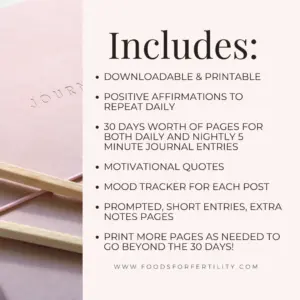 IVF-JOURNAL-PRINTABLE-INFERTILITY-IVF-JOURNAL-DOWNLOADABLE-IVF-5-MINUTE-JOURNAL-300x300.webp
