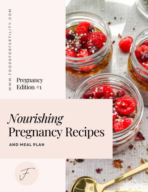 Pregnancy Meal Plan