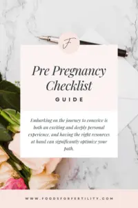 Pre-Pregnancy Checklist and Planner